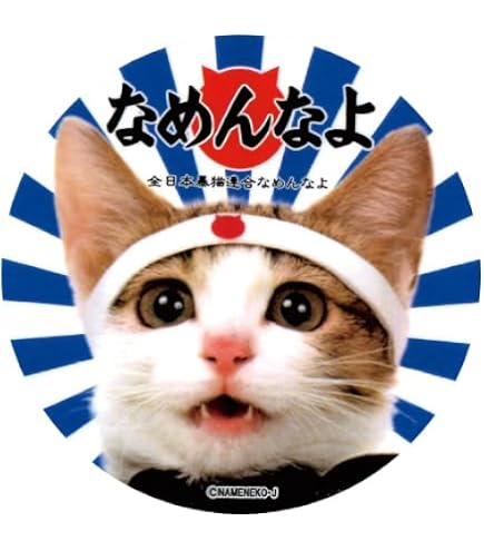 Amazon.co.jp: [なめ猫] なめんなよ ステッカー NAMENNAYO ST-A9